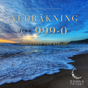 854-806 (Vågor mot strand)