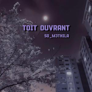 TOIT OUVRANT