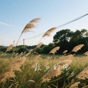故乡的风 (Cover 庄单纯)