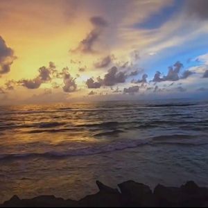 大海皆是你(25.1.3)