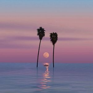 暖味 (nuǎn wèi）