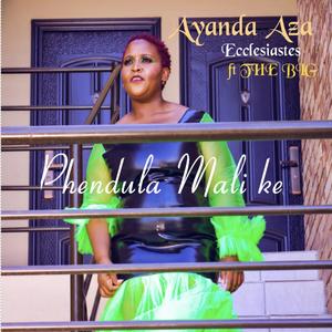 Phendula Mali Ke (feat. The Big)