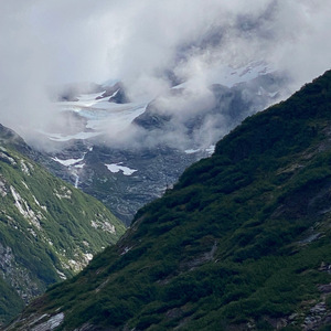 Peanut Butter & Jelly Sandwich