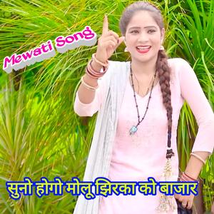 सुनो होगो मोलू झिरका को बाजार Mewati Song