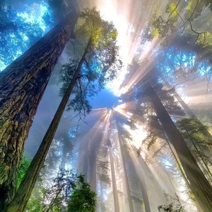 你的诀别比紧箍咒还疼