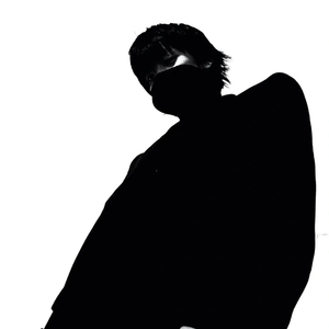 北极光与沙漠风