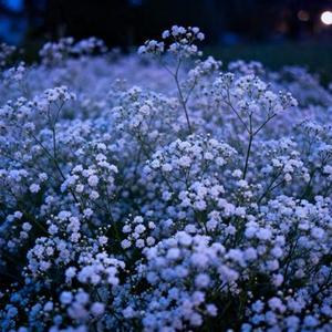 会吗 (Cover 王靖雯)