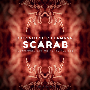 Scarab