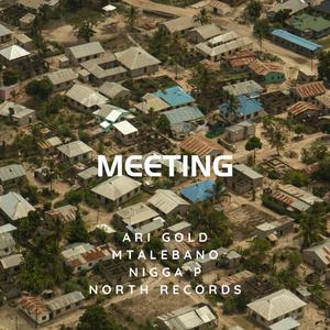 Meeting (feat. Mtalebano, Nigga P & North Records)