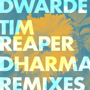 It Happened Just Once (Dharma Remix)