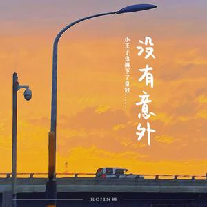 没有意外（女声版）