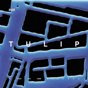 Tulip (Extended Mix)