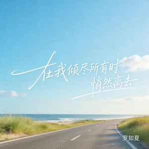 在我倾尽所有时悄然离去