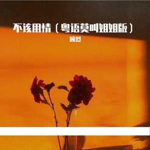不该用情（抖音粤语版）（翻自 莫叫姐姐）