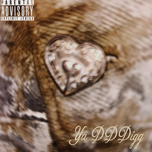 Ya Dddigg? (2slick)