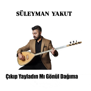 Çıkıp Yayladın Mı Gönül Dağıma