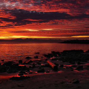 想把我唱歌给你听