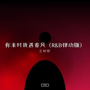 你来时我遇春风（R&B律动版）