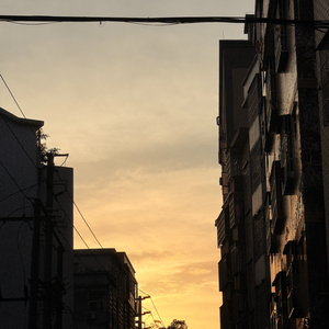 涩柿子般的心事