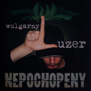 Nepochopený (feat. Gulos Potrok & DJ Spinhandz)