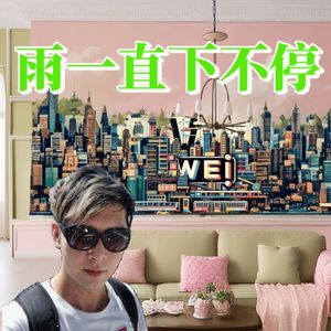 雨一直下不停