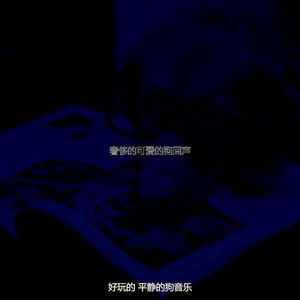 诗意的可爱的狗节奏