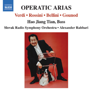 Il barbiere di Siviglia (The Barber of Seville) *:Il barbiere di Siviglia, Act I Scene 12: La calunnia