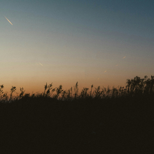혼자라고 느껴질 때