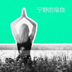 睡眠辅助之声 (钢琴)