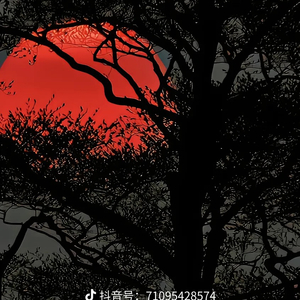 Kunup biraymu (要我习惯吗)