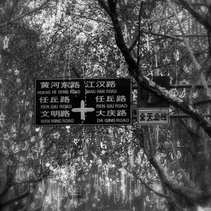 关于濮阳的记忆