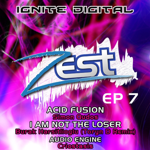 I Am Not The Loser (Toryn D Remix)