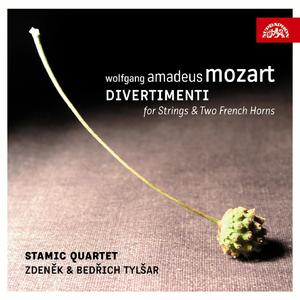 Divertimento No. 15 in B-Flat Major, K. 287:V. Menuetto