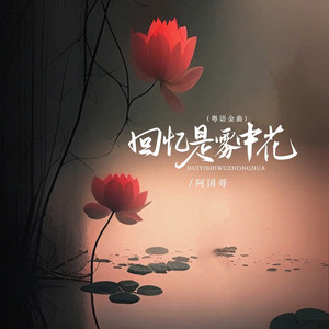 回忆是雾中花