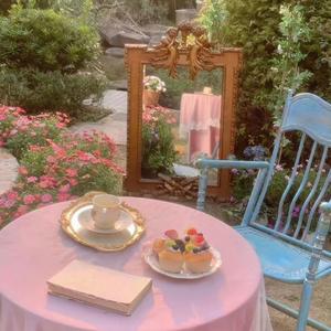 给你宇宙（翻自 封茗囧菌