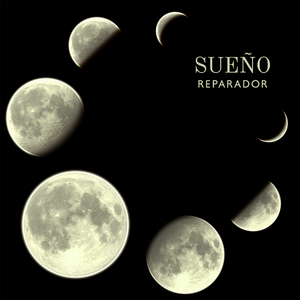 Sonido de Pájaros