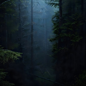 A Piece of a Murdered Memory