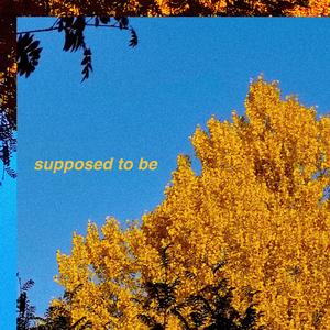 supposed to be (feat. MOONSIGHT)