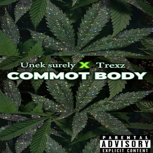 Commot Body