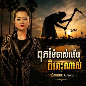 ពុកម៉ែចាស់ហើយ - ពិរោះណាស់