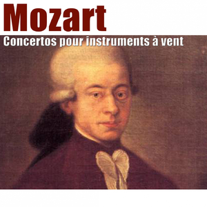 Concerto pour haut-bois in C Major, KV 271: II. Andante ma non troppo