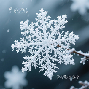 雪花带不走寂寞