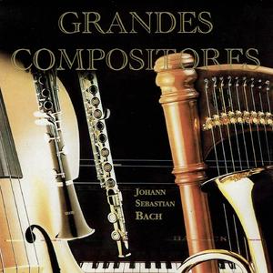 Violin Concerto in A Minor, BWV 1041: III. Allegro assai