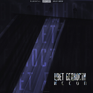 Цвет бедности