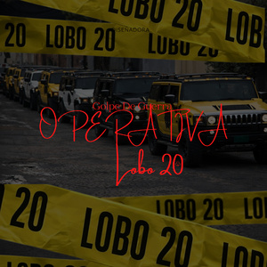 Operativa Lobo 20