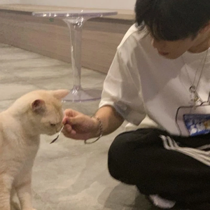 狂恋你(cover 沈以诚)