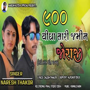 900 vigha tari jamin joraji