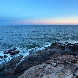 樱花草（DJ版）