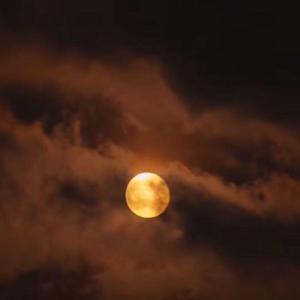 生きていたんだよな