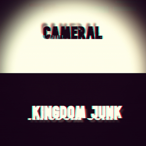 Kingdom Junk